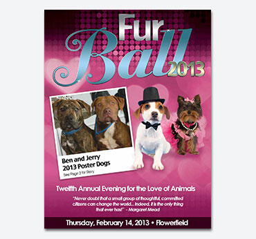 Save-a-Pet Furball Gala: Flier