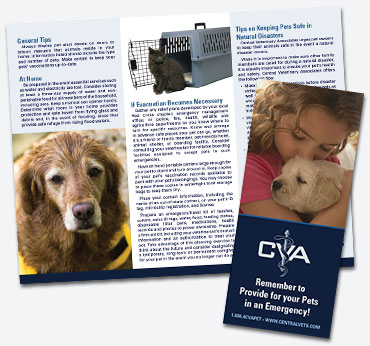 Central Vets: Trifold Brochure