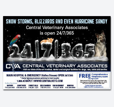 Central Vets Ad